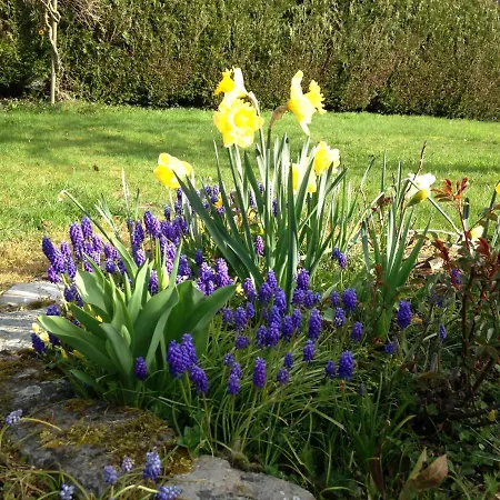 לינה וארוחת בוקר L'atelier Au Jardin D'isabelle *