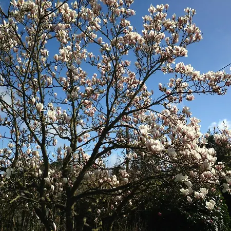 L'atelier Au Jardin D'isabelle לינה וארוחת בוקר *