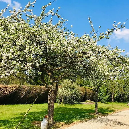 L'atelier Au Jardin D'isabelle לינה וארוחת בוקר Fatouville-Grestain