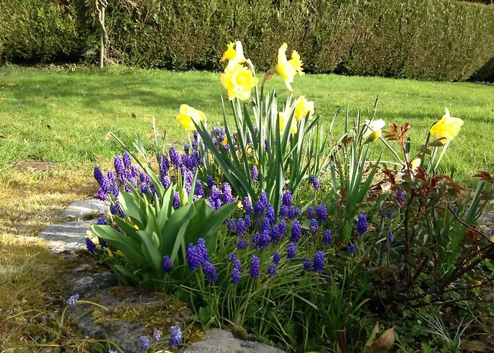 Bed & Breakfast L'atelier Au Jardin D'isabelle *