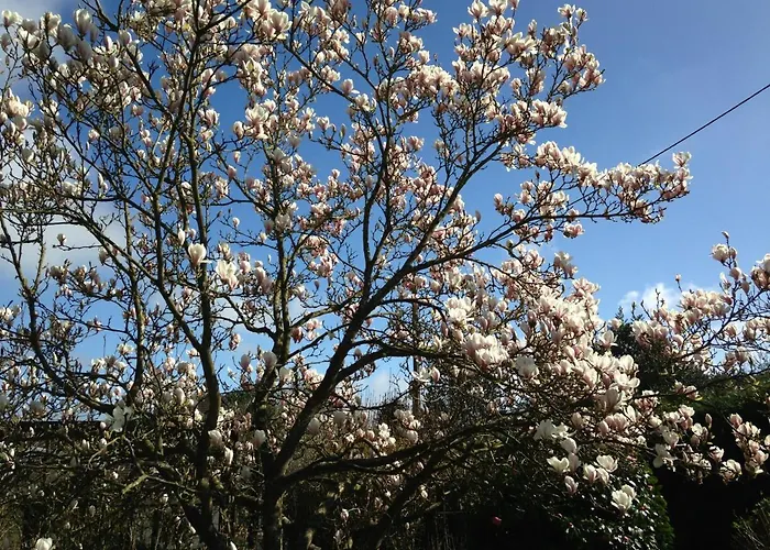 L'atelier Au Jardin D'isabelle Bed & Breakfast *