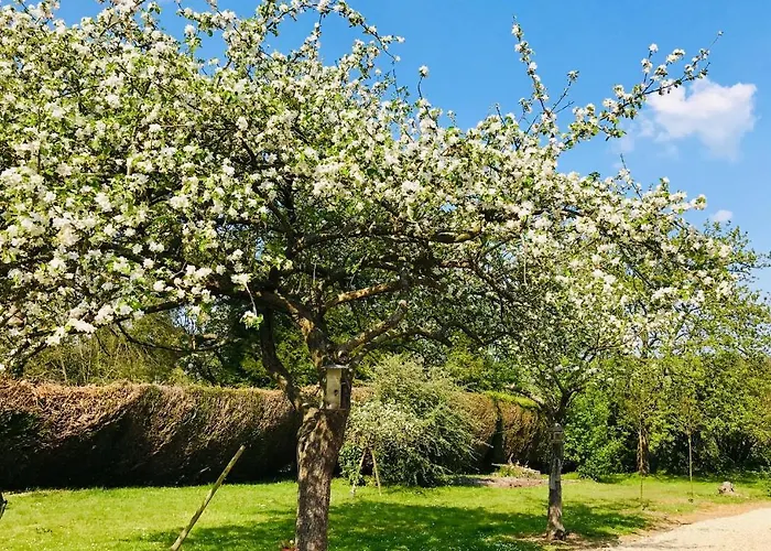 L'atelier Au Jardin D'isabelle Bed & Breakfast Fatouville-Grestain